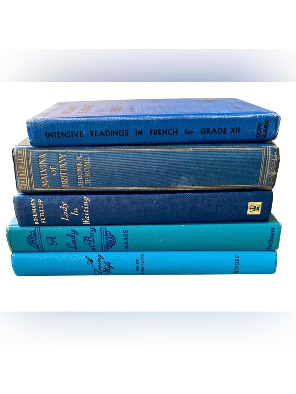 Vintage Blue Hardcover Book Collection for Staging and Decor - Picture 2 of 3